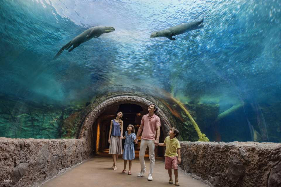 River Wonders Tickets | Mandai Wildlife Reserve, Singapore