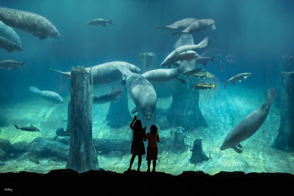 River Wonders Tickets | Mandai Wildlife Reserve, Singapore