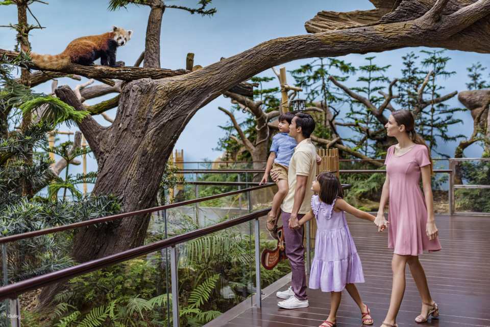 River Wonders Tickets | Mandai Wildlife Reserve, Singapore