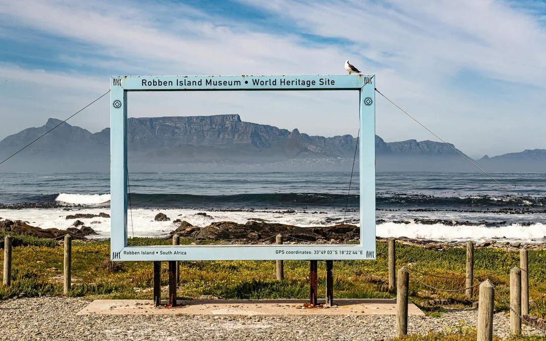 Robben Island, Boulders Beach Penguin Colony & Cape of Good Hope Full-Day Private Tour Image 3