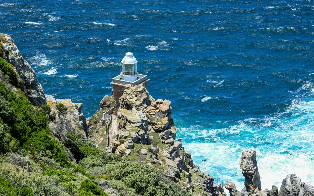 Robben Island, Boulders Beach Penguin Colony & Cape of Good Hope Full-Day Private Tour Image 5