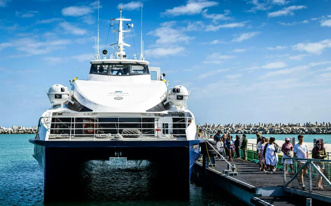 Robben Island Guided Prison Tour with Museum Entry & Round-Trip Ferry Transfers Image 4