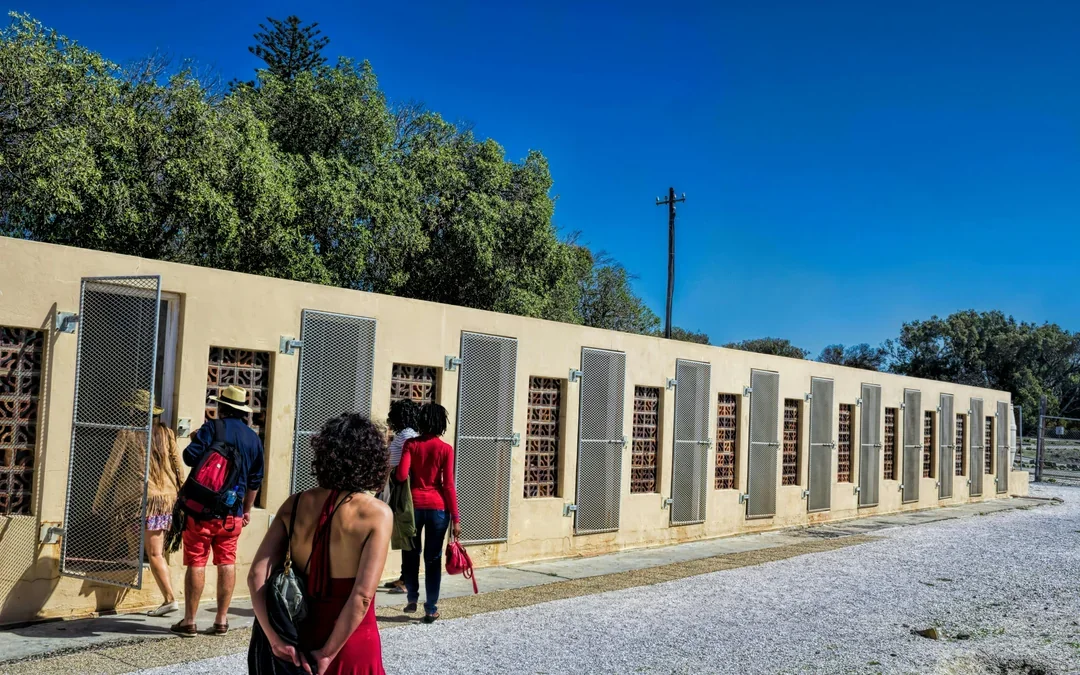 Robben Island Guided Prison Tour with Museum Entry & Round-Trip Ferry Transfers Image 5