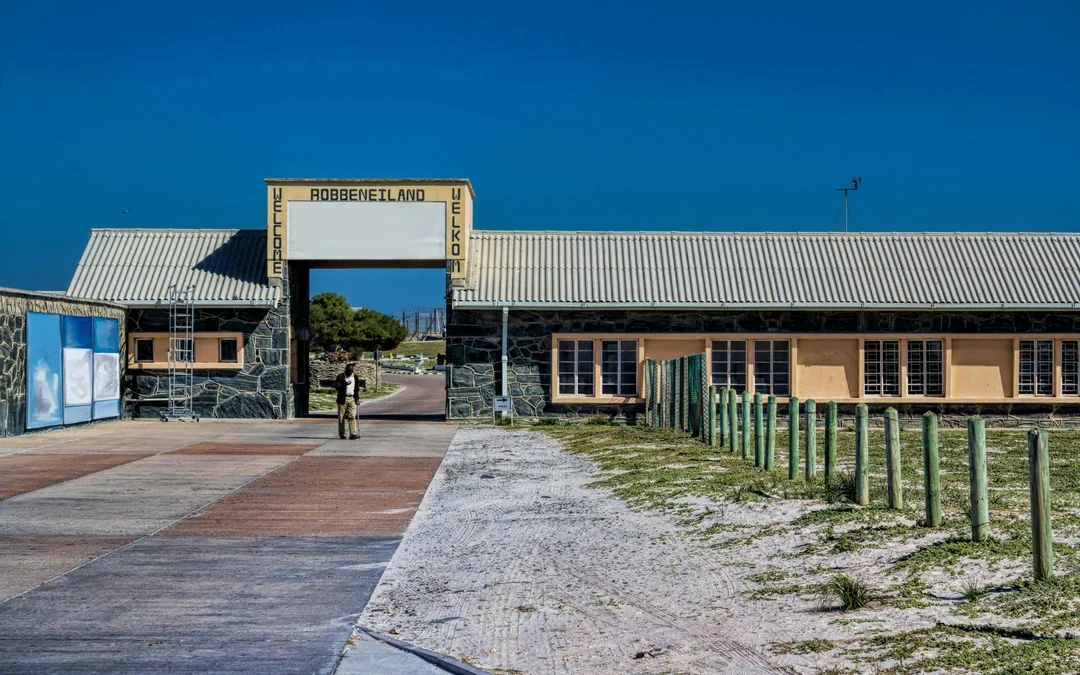 Robben Island, Kirstenbosch National Botanical Garden & Constantia Full-Day Tour with Wine Tasting Image 5