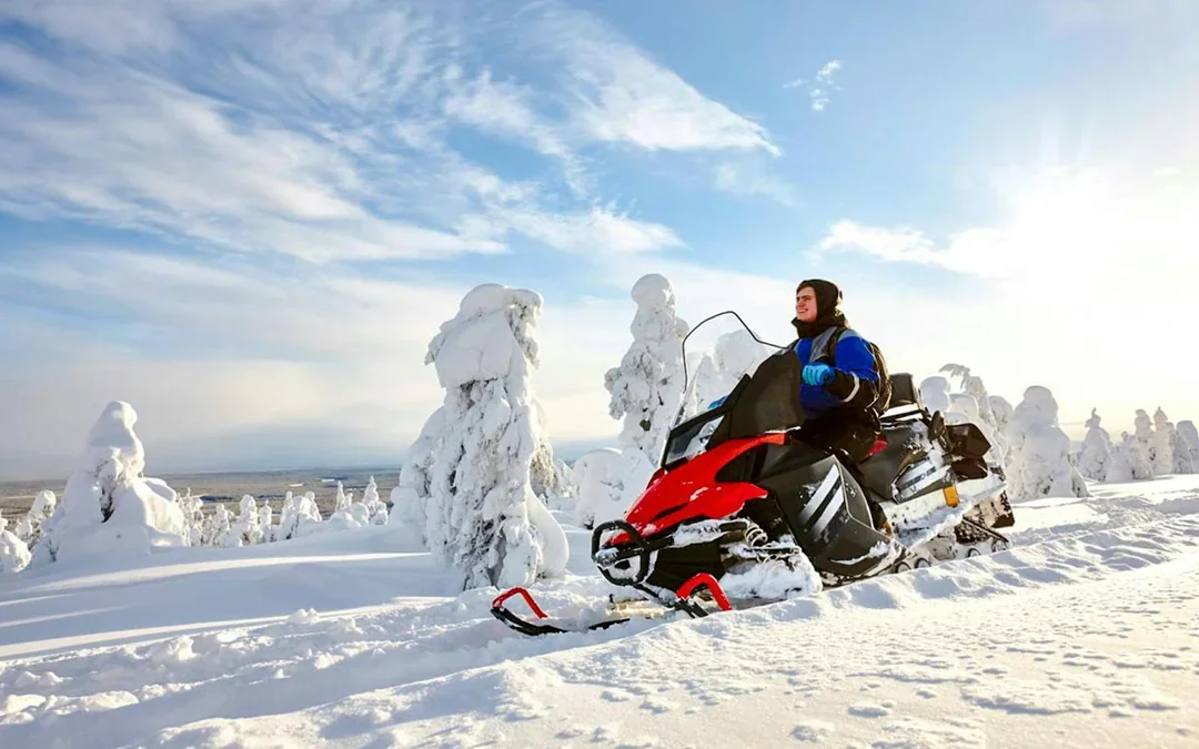 Rovaniemi: 2.5 Snowmobile Safari Adventure Image 2