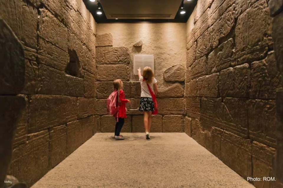 Royal Ontario Museum Ticket | Toronto
