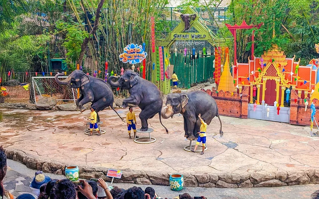 Safari World Tickets with Optional Lunch Image 3
