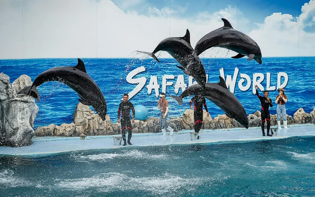 Safari World Tickets with Optional Lunch Image 10