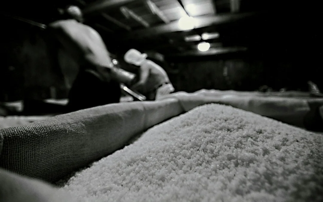 Sagamihara: Kubota Brewery Tour and Sake Tasting Image 1