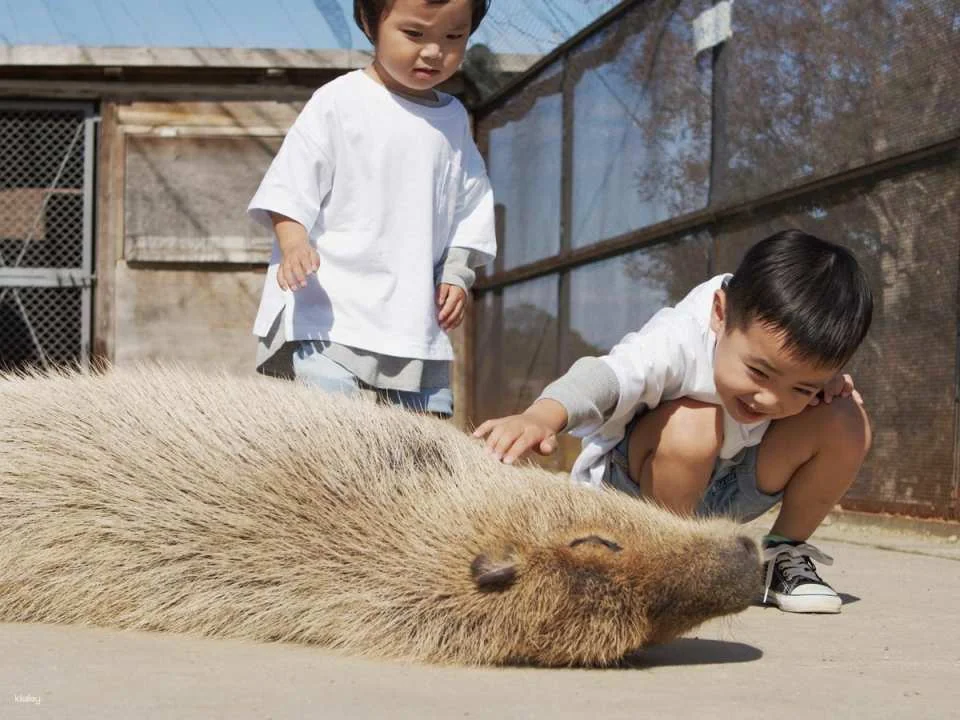 Osaka, Japan | Sakai Green Museum Harvest Hill Natural Farm