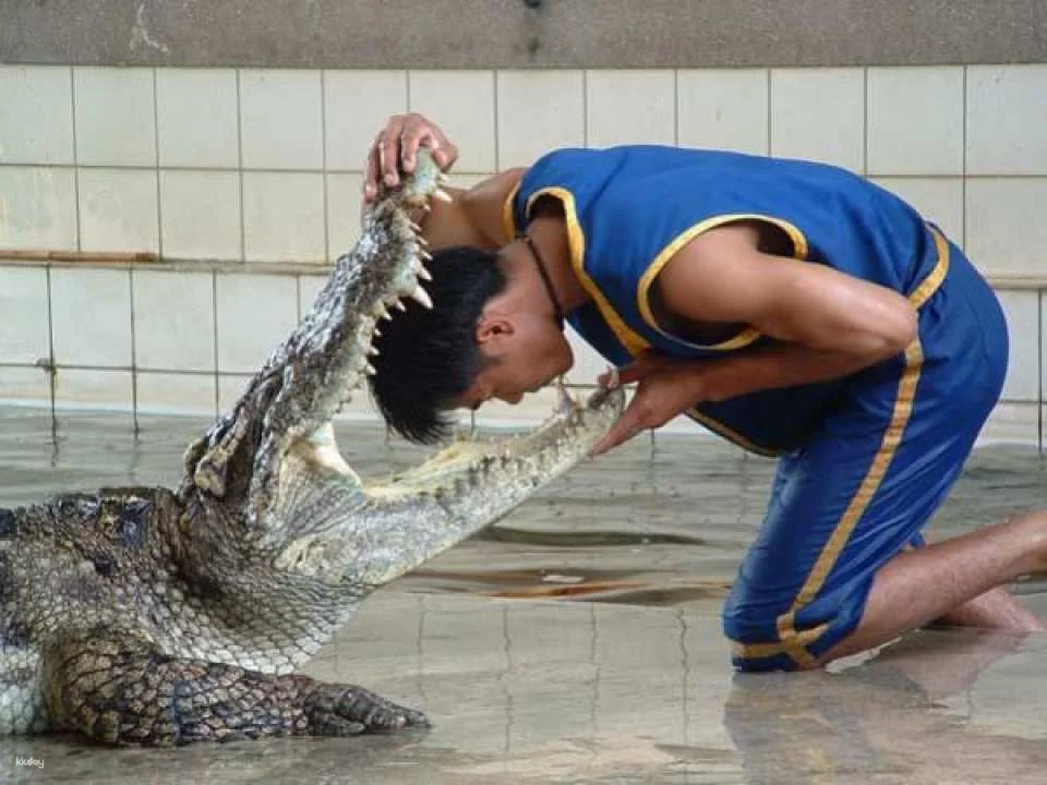 Samphran Elephant Ground & Crocodile Zoo Ticket | Thailand