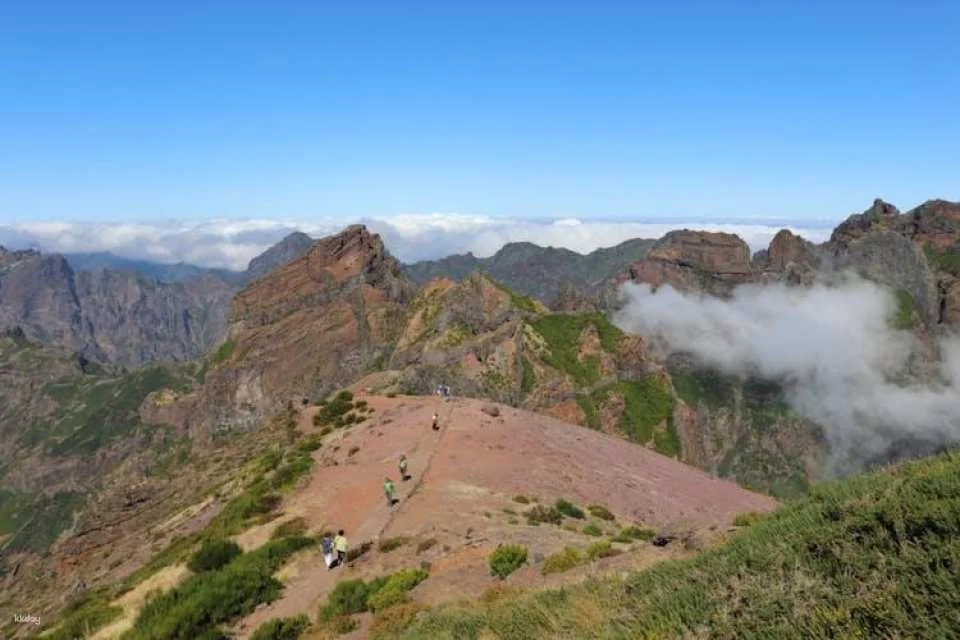 Santana Biosphere Reserve and Arieiro Peak Full Day Open Roof 4x4 Tour