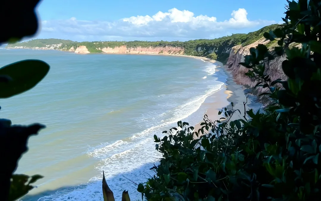 Santuário Ecológico de Pipa Guided Nature Walk With Praia do Madeiro Visit Image 2