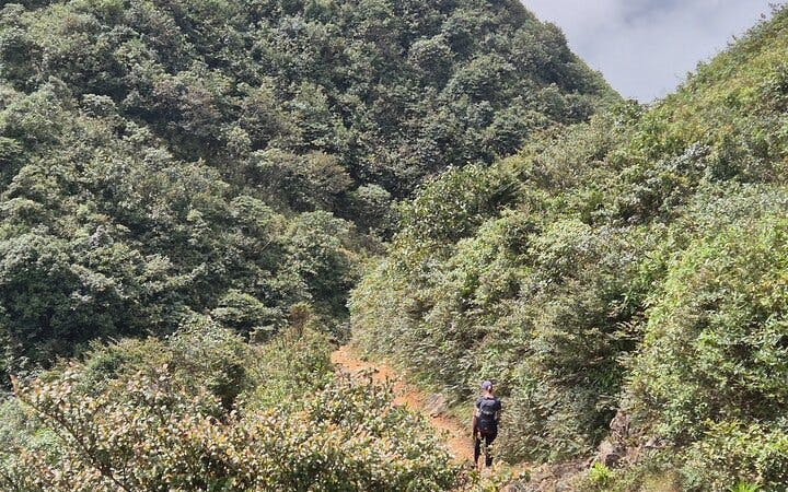 Sapa 21km Guided Trail-Running Day Tour with Local Guide and Mountain Views Image 5