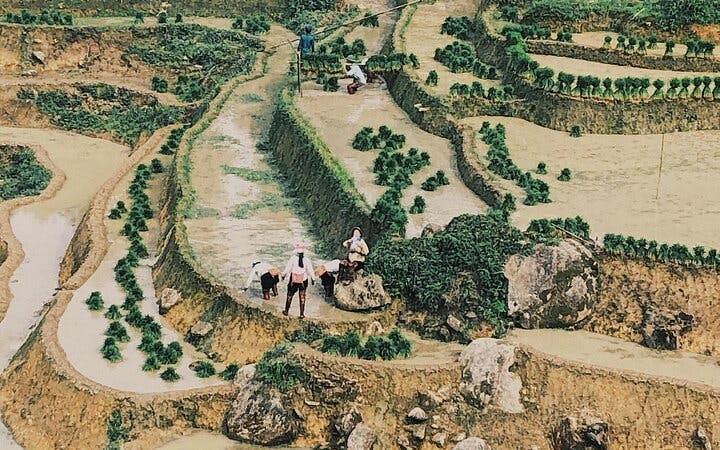 Sapa Guided Trekking Tour of Ta Phin Village and Red Dao Community with Lunch and Return Transport Image 5