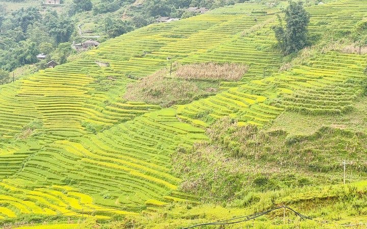 Sapa Private Sunset Valley Drive and Farm-to-Table Dinner in Giay Stilt House Image 2