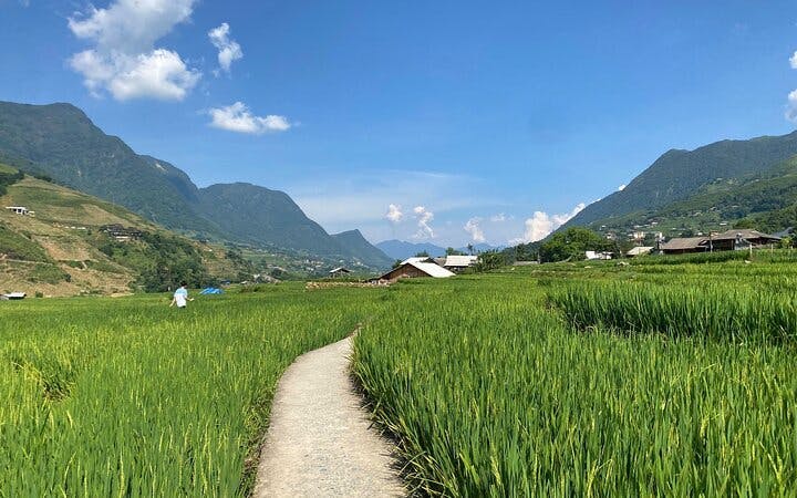 Sapa Private Trekking Tour on Y Linh Ho, Lao Chai, and Ta Van Trails with Local Guide, Lunch, and Return Transport Image 1