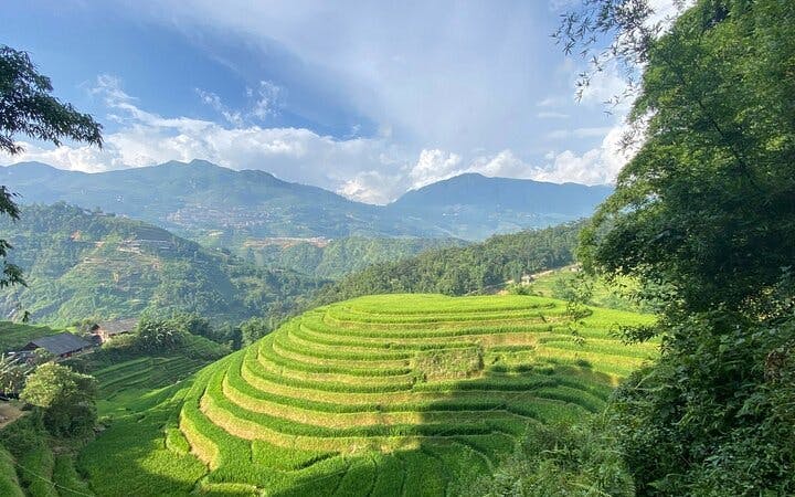 Sapa Private Trekking Tour on Y Linh Ho, Lao Chai, and Ta Van Trails with Local Guide, Lunch, and Return Transport Image 2