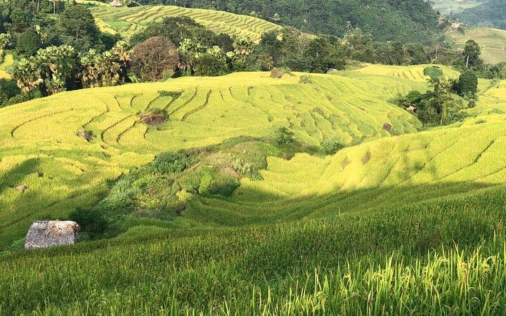 Sapa to Ha Giang Guided Motorbike Tour Including Ethnic Villages, Mountain Passes, Meals, and Accommodation Image 1
