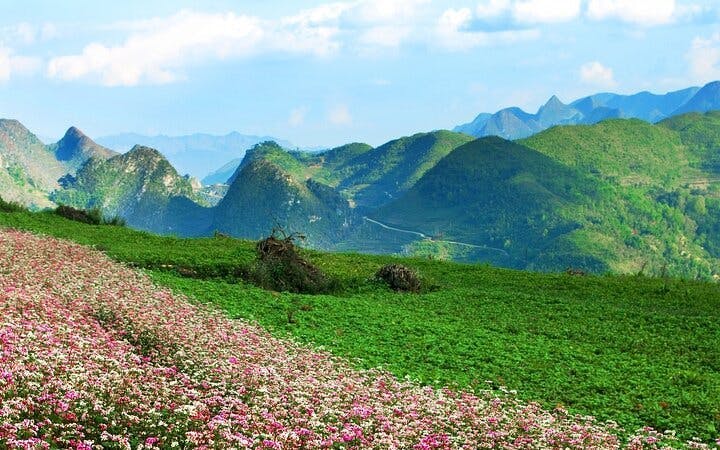 Sapa to Ha Giang Loop Small-Group Tour with Easyrider Driver, Local Homestays, Meals, and Transfers Image 5