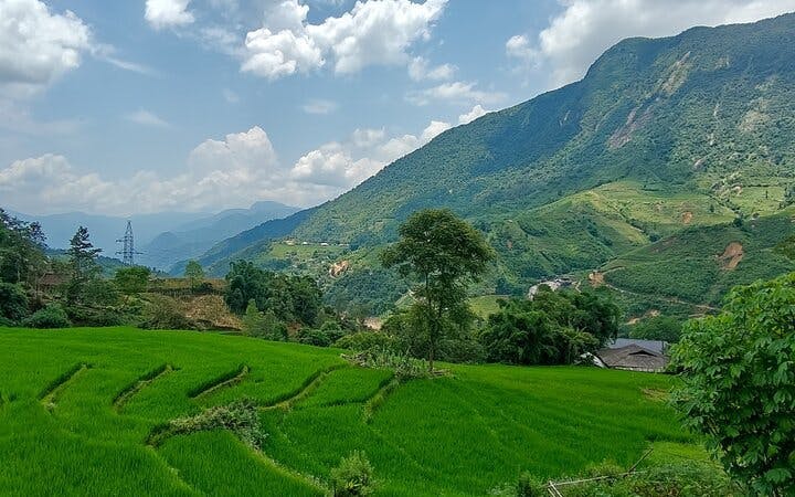 Sapa Trekking and Dzay Homestay Experience with Meals and Village Stay Image 10