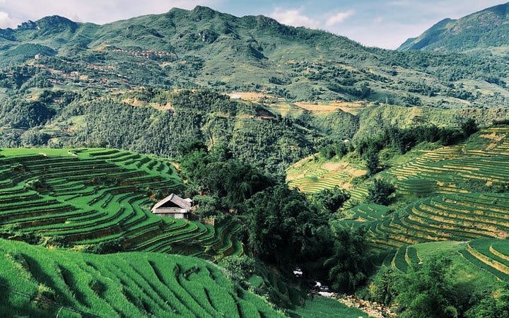 Sapa Trekking and Ta Van Village Private Bungalow Homestay Experience with Meals and Return Transfers Image 10