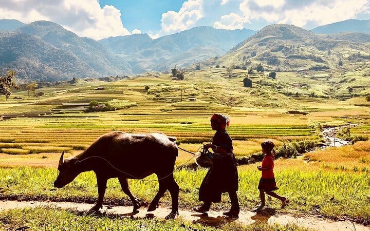 Sapa Trekking Tour with Local Guide and Homestay in Ta Phin Village Image 5