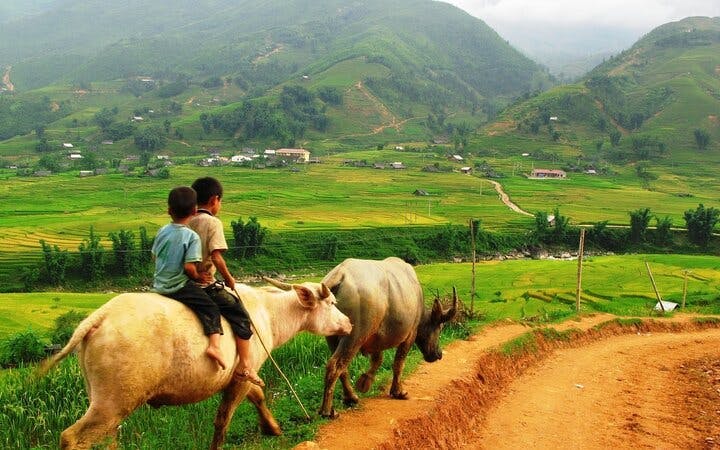 Sapa Trekking Tour with Local Guide and Homestay in Ta Phin Village Image 10