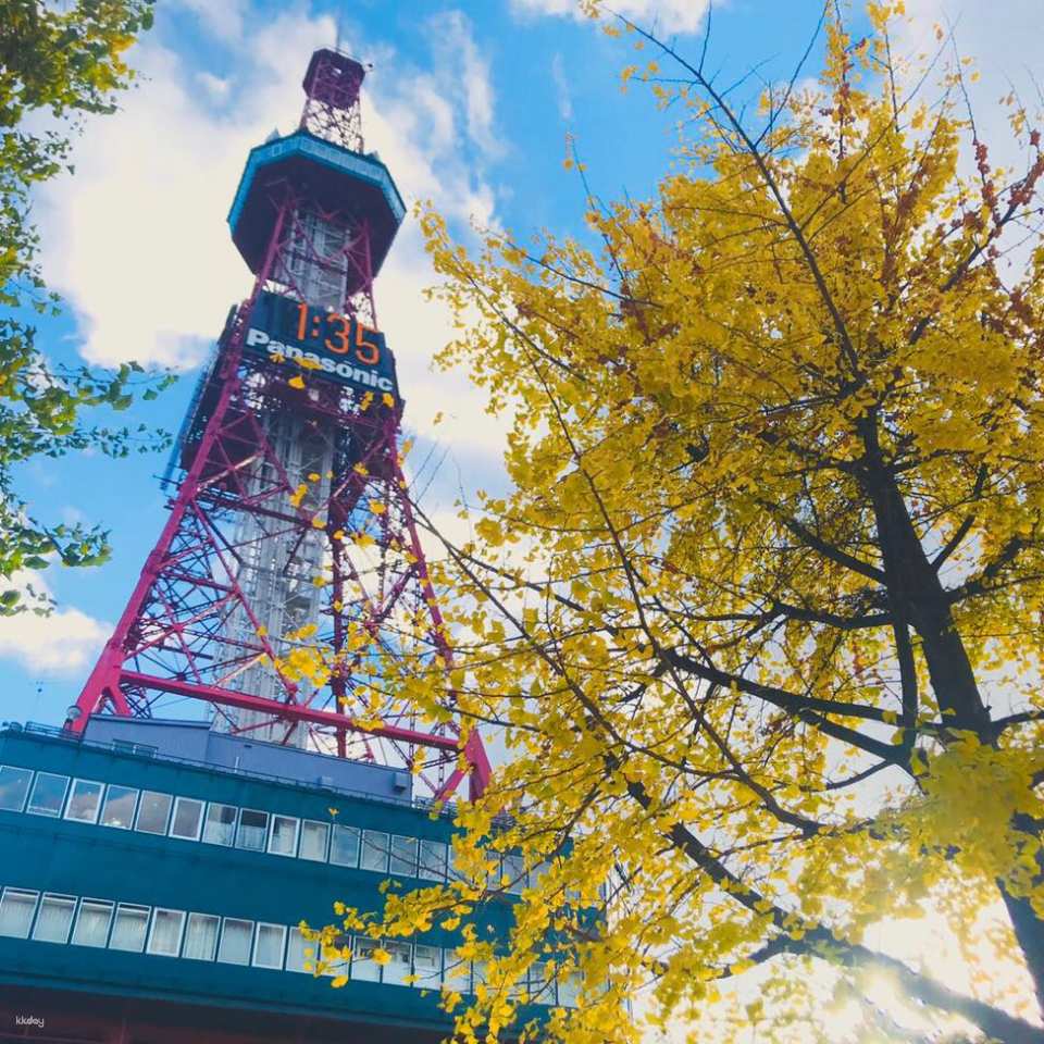 Sapporo TV Tower Observation Deck Ticket｜Japan