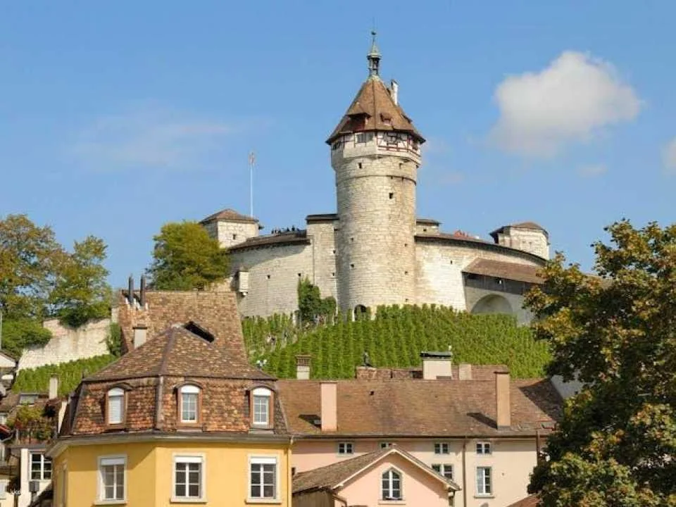 Schaffhausen city highlights walking tour with a local