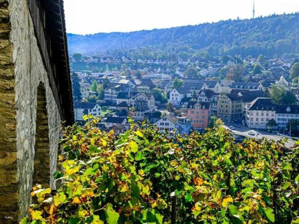 Schaffhausen city highlights walking tour with a local