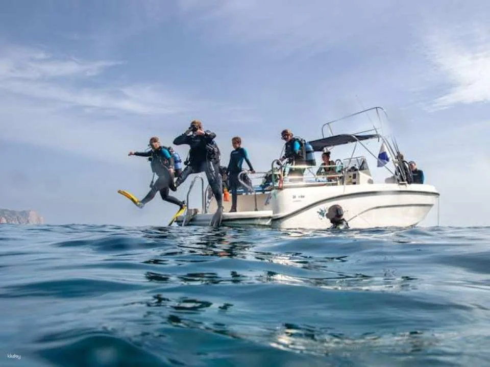 Scuba tour with one dive from Bonaire Harbour for certified divers