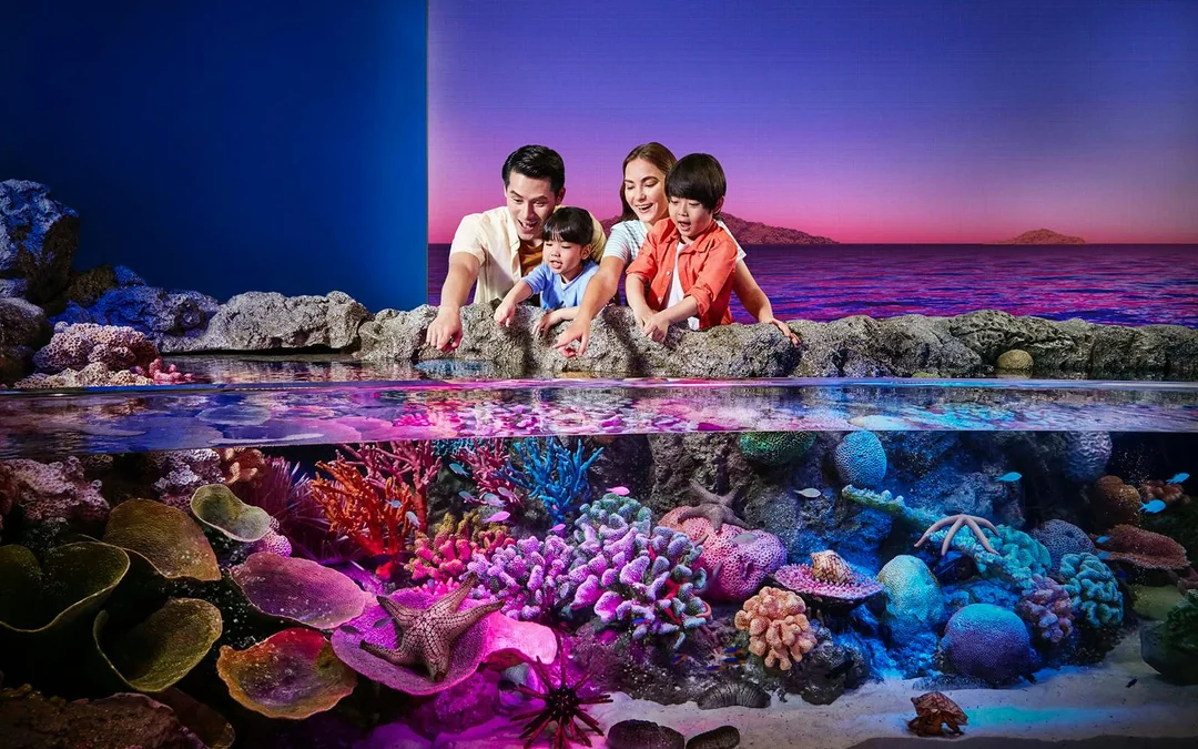 SEA Life Bangkok and Glass Bottom Boat Image 2