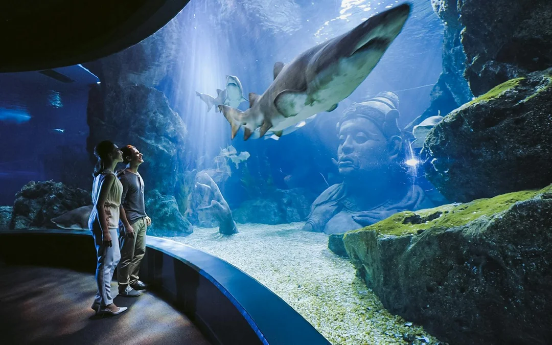 SEA Life Bangkok and Glass Bottom Boat Image 6