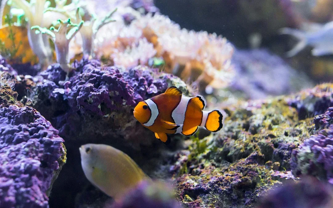 SEA LIFE Bangkok Tickets Image 9