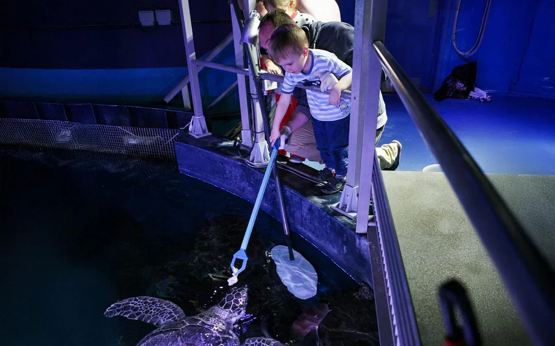 SEA LIFE London Aquarium Behind The Scenes Tour Image 3