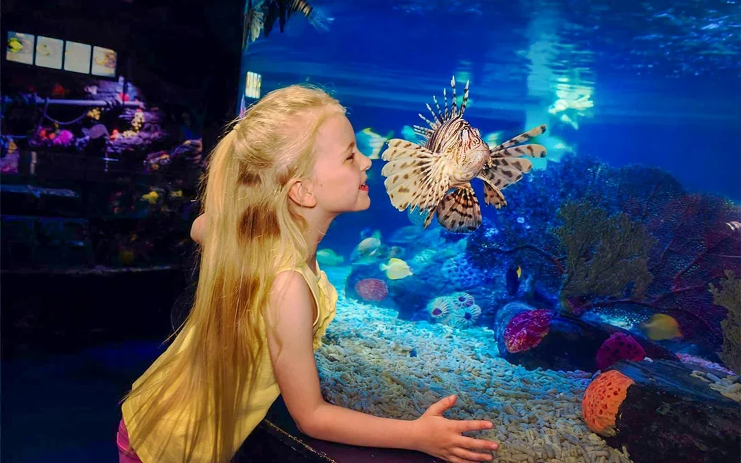 SEA LIFE London Aquarium Behind The Scenes Tour Image 5