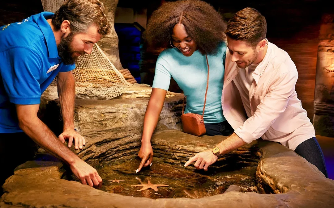 SEA LIFE London Aquarium: Standard Admission Tickets Image 1