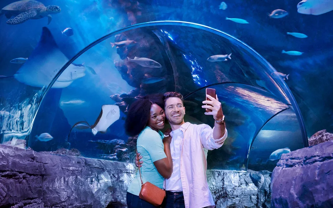 SEA LIFE London Aquarium: Standard Admission Tickets Image 2