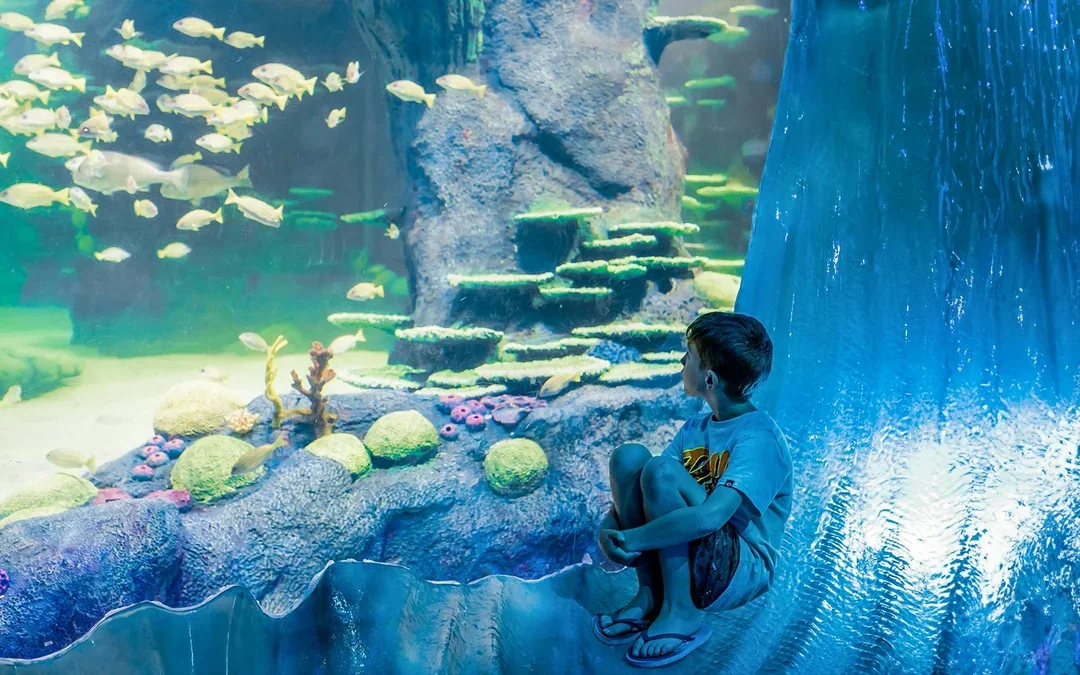 SEA LIFE Sydney Aquarium Tickets Image 6