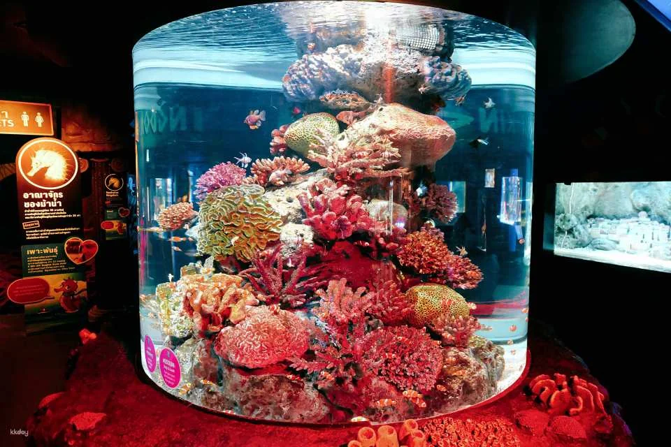 Sealife Ocean World & Madame Tussauds Ticket | Bangkok