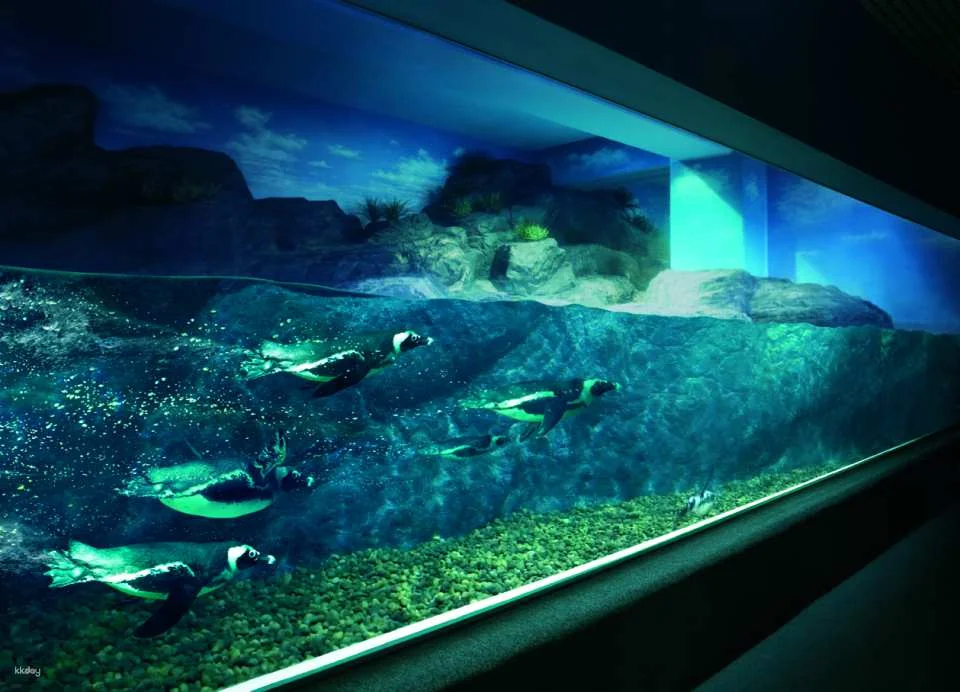 Sealife Ocean World & Madame Tussauds Ticket | Bangkok