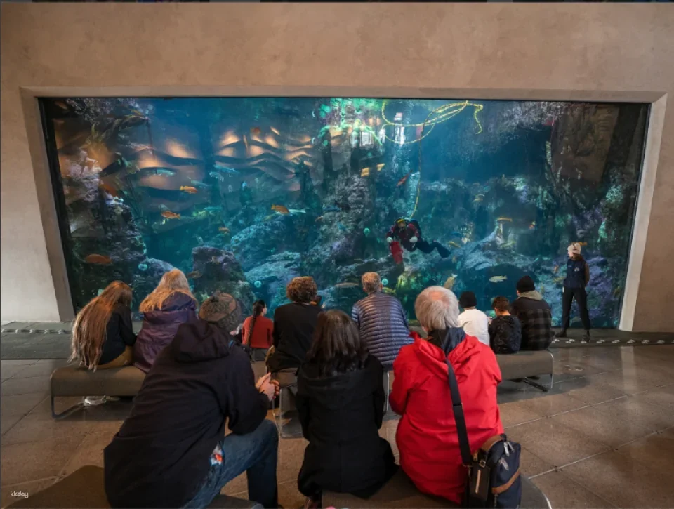 Seattle C3® CityPASS®  | United States