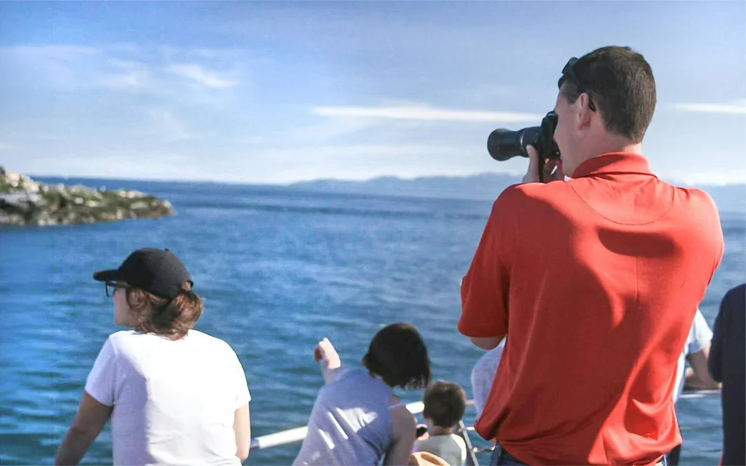 Seattle WIldlife & Whale Watching Tour Image 2