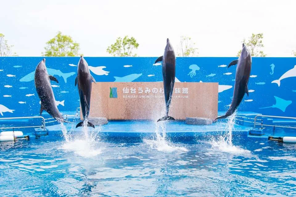 Sendai Uminomori Aquarium Ticket