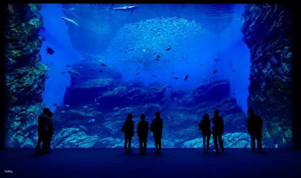 Sendai Uminomori Aquarium Ticket