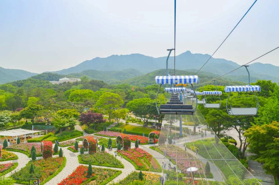 Seoul Grand Park Ticket Package | Zoo Ticket & Sky Lift
