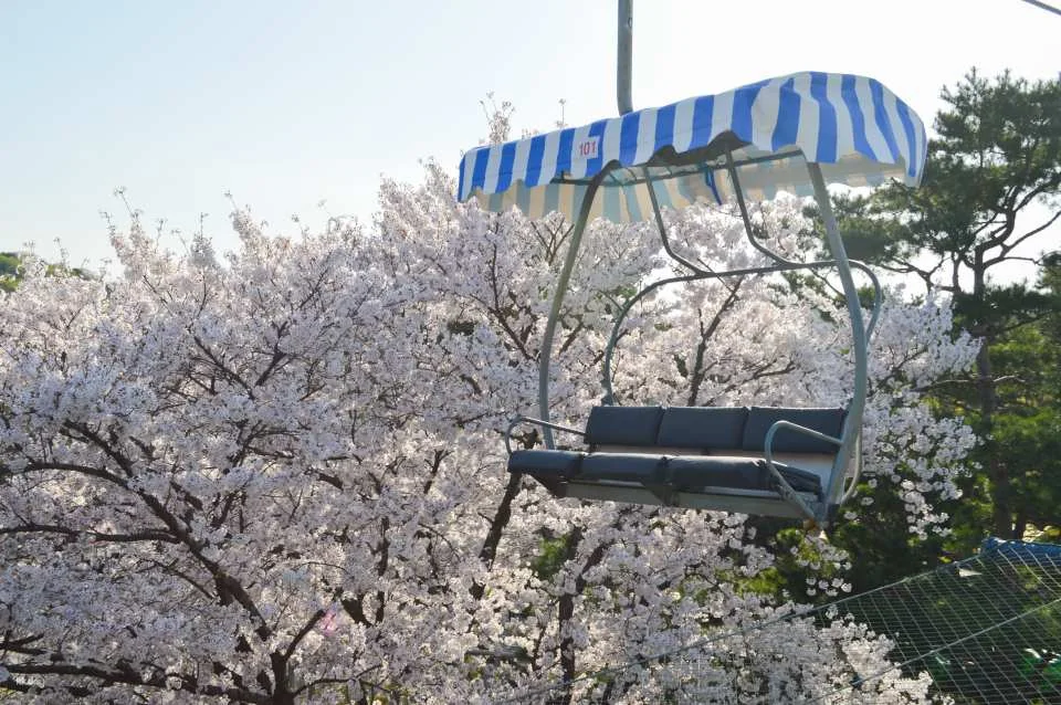 Seoul Grand Park Ticket Package | Zoo Ticket & Sky Lift