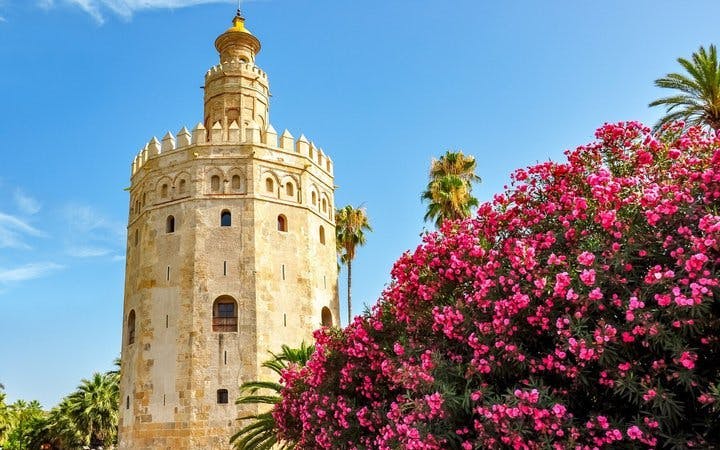 Seville Self-Guided Walking Tour on Mobile App Image 5