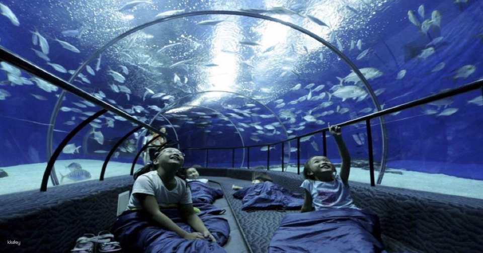 Shanghai Ocean Aquarium: Admission Ticket | China